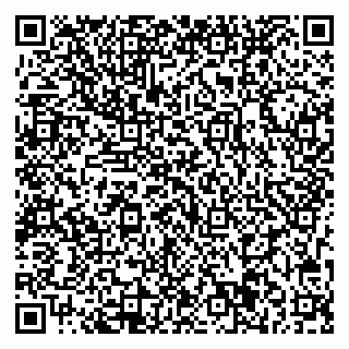 vCard 79713001377