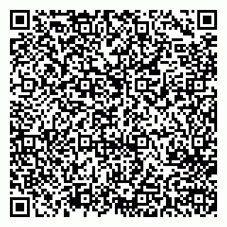 vCard 79713001393