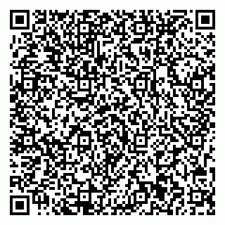 vCard 79713001402