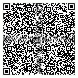 vCard 79713001503