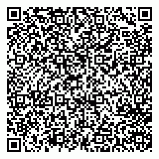 vCard 79713001533