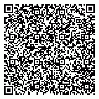 vCard 79713001541