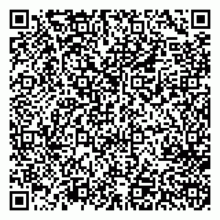 vCard 79713001629