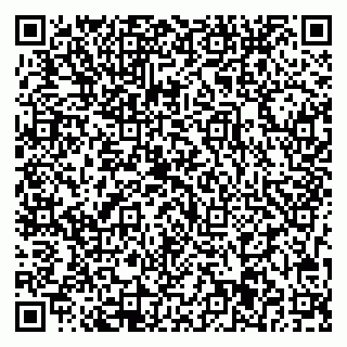 vCard 79713001641