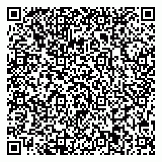 vCard 79713001655