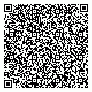 vCard 79713001733