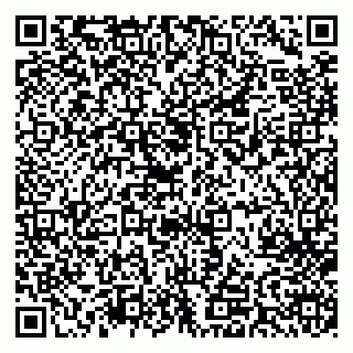 vCard 79713001740