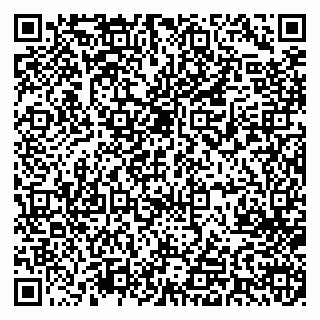 vCard 79713001741