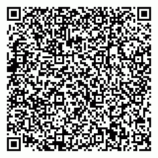 vCard 79713001819
