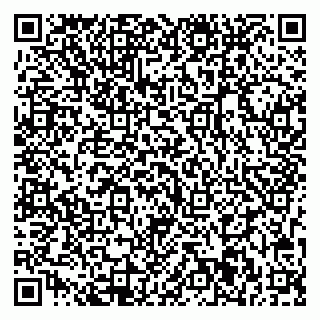 vCard 79713001833