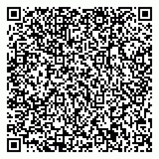 vCard 79713001897