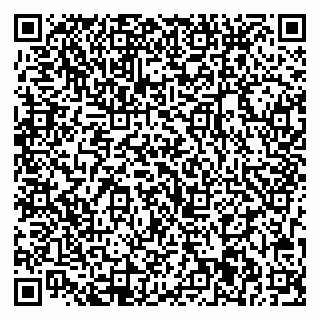 vCard 79713001911