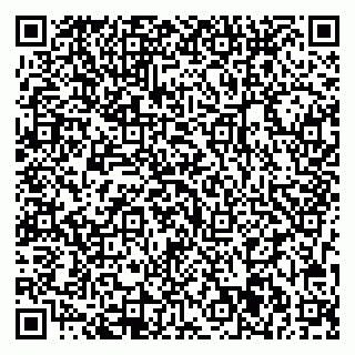 vCard 79713001933