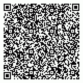 vCard 79713001973