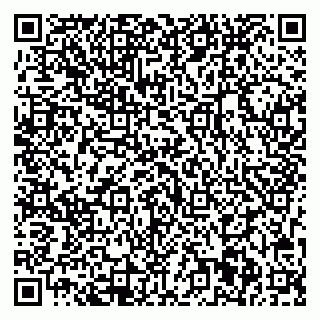 vCard 79713001978