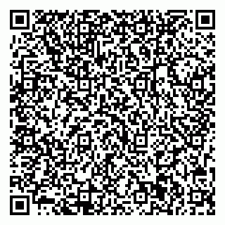 vCard 79713001984