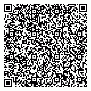 vCard 79713001985