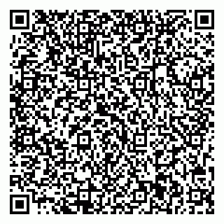 vCard 79713001991