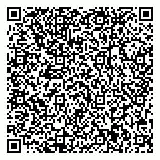 vCard 79713001993