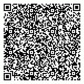 vCard 79713002011