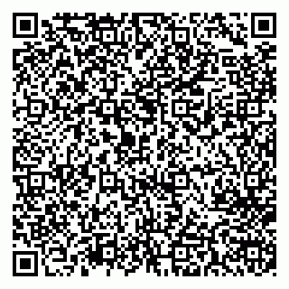 vCard 79713002077