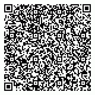 vCard 79713002099