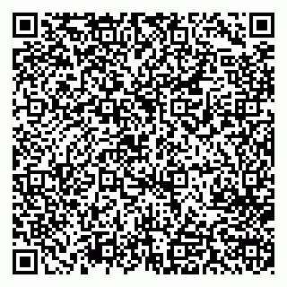vCard 79713002204