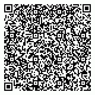 vCard 79713002205