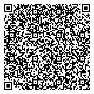 vCard 79713002211