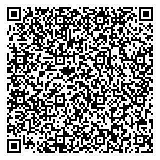 vCard 79713002221