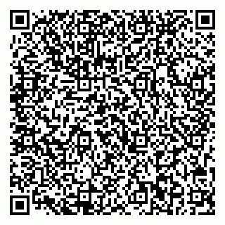 vCard 79713002339