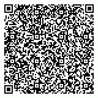 vCard 79713002381