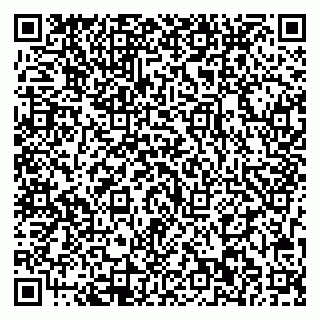 vCard 79713002404