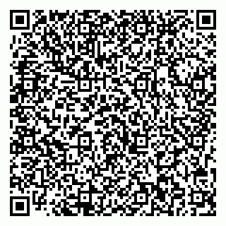 vCard 79713002411