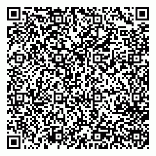 vCard 79713002429