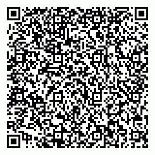 vCard 79713002485