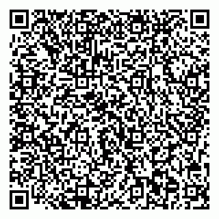 vCard 79713002539