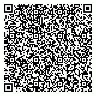 vCard 79713002541