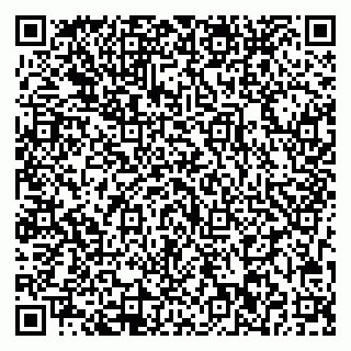 vCard 79713002671