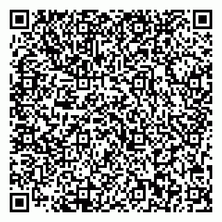 vCard 79713002678