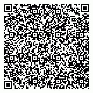 vCard 79713002733