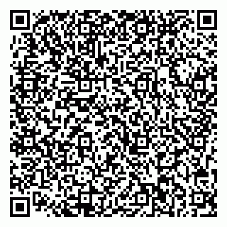 vCard 79713002735
