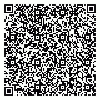 vCard 79713002741