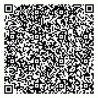 vCard 79713002785