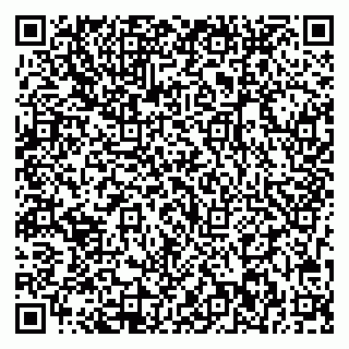 vCard 79713002801