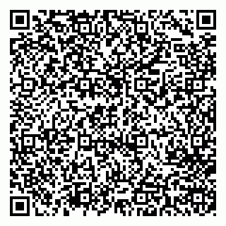 vCard 79713002813