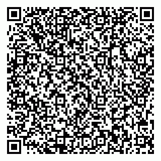 vCard 79713002821