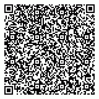 vCard 79713002841