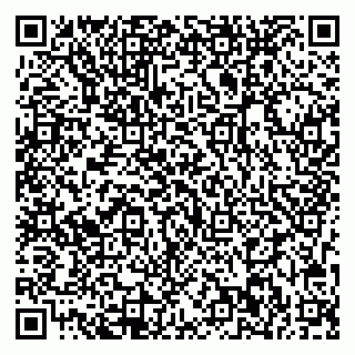 vCard 79713002874