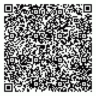vCard 79713002875